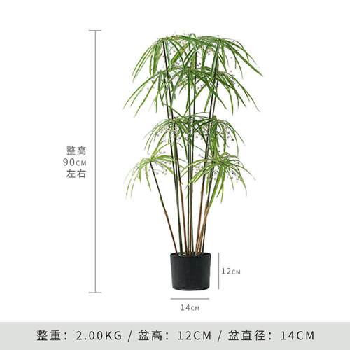 高级仿真风车草大型仿生植物水竹盆栽造景客厅落地假绿植装饰摆件