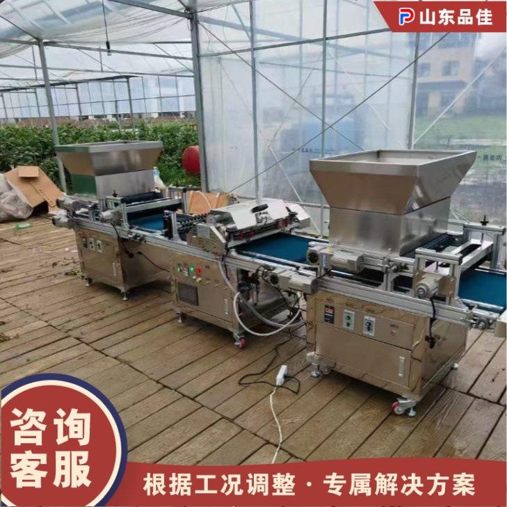 穴盘育苗播种机全自动园林花卉育苗机辣椒西红柿蔬菜育苗种植机