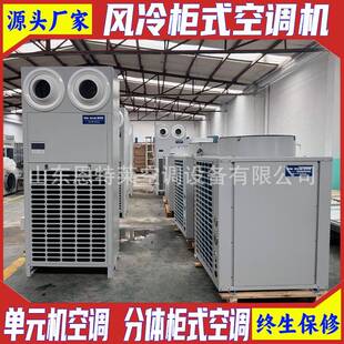 空气调节机组 式 LF45N工业空调风冷柜式 空调机单元