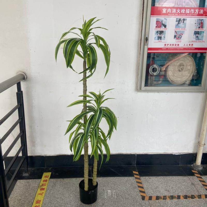 工厂店仿真植物盆栽金心荷花铁小树家居造景装饰假树园艺场景摆件