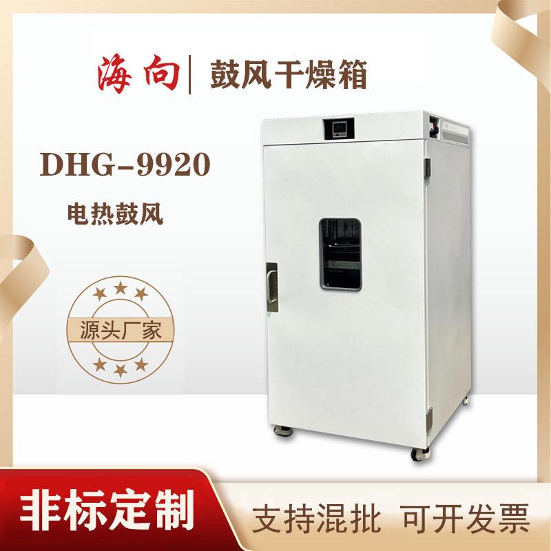 海向非标定制款鼓风干燥箱电热款定制各种尺寸厂家直销DHG-9920