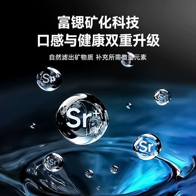 瑞迪生台式净饮机加热一体净水器家用免安装反渗透直饮过滤饮水机