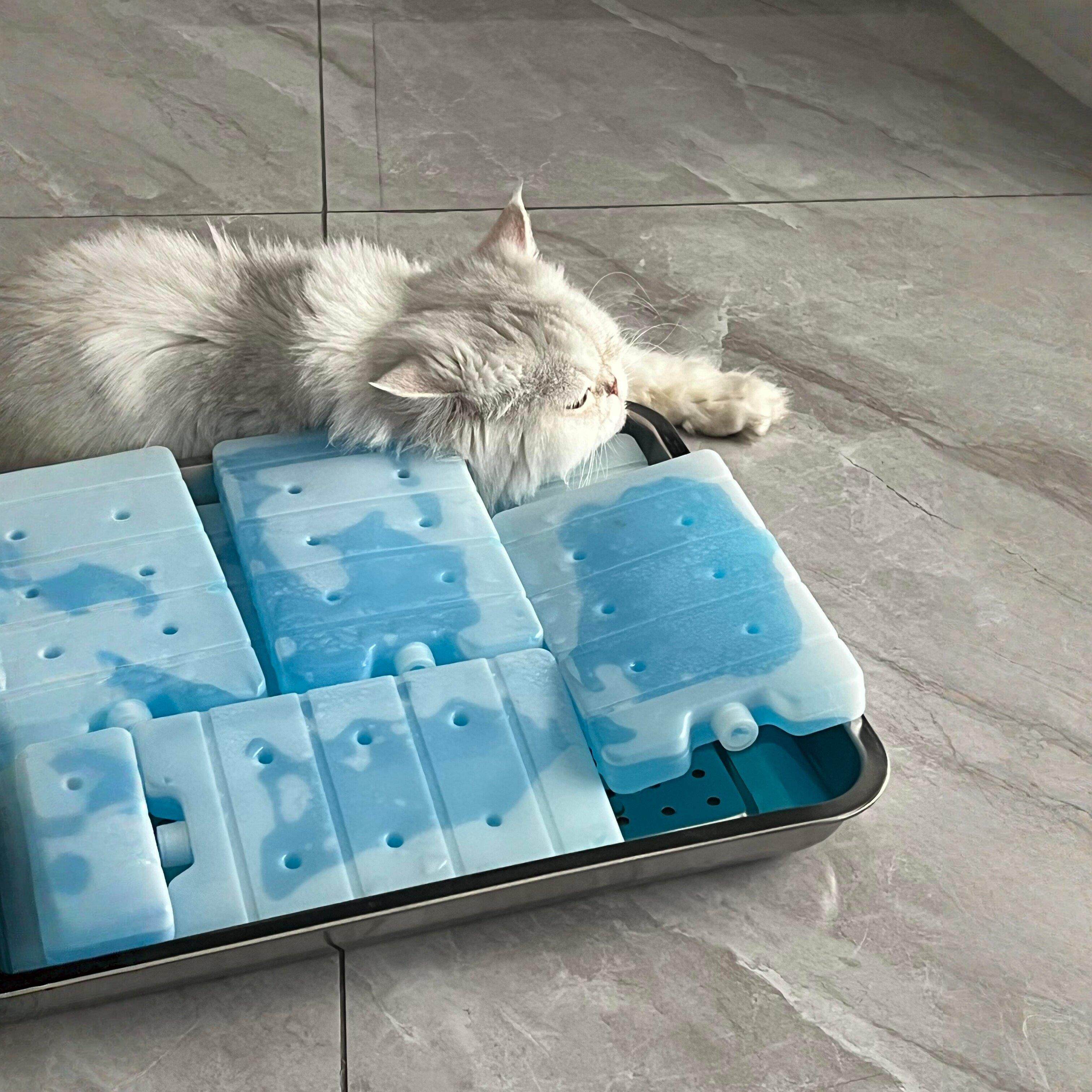 夏季宠物冰垫猫用狗降温垫免注水冰晶盒散热垫大容量冰块降温神器