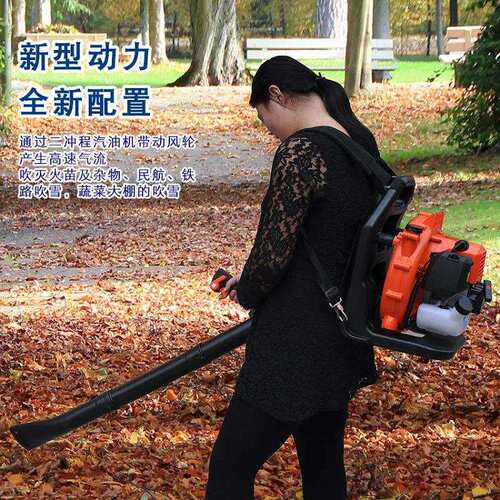 季小RHX轻便秋汽油吹叶机 负抽吸两用工型地马路广场背式除尘吹灰