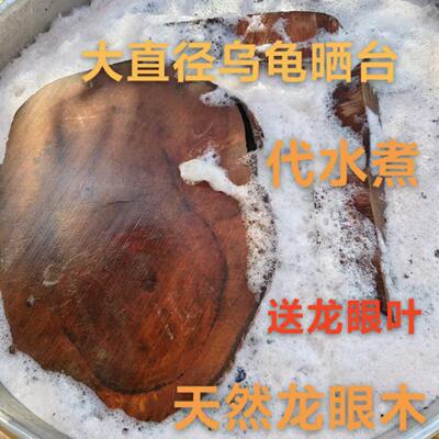 大直径天然龙眼木乌龟晒台 免煮乌龟休息台造景摆件 防治腐皮腐甲