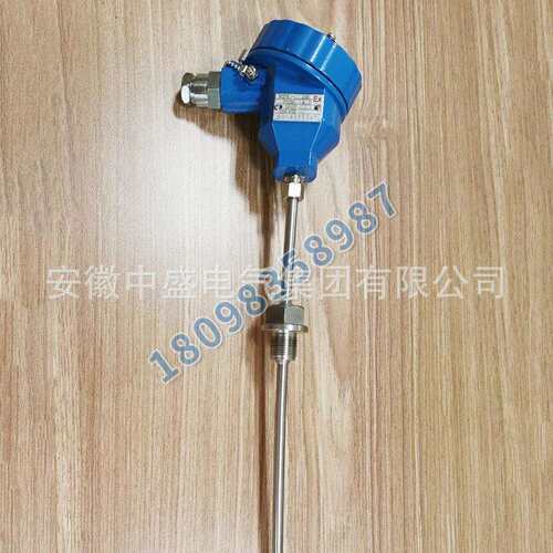 中盛一体化防爆热电阻耐磨型热电偶温度变送器WZP-240 L=900