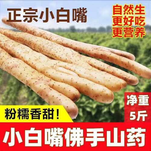 小白嘴山药佛手山药新鲜铁杆山药比河南垆土铁棍山药粉糯甜