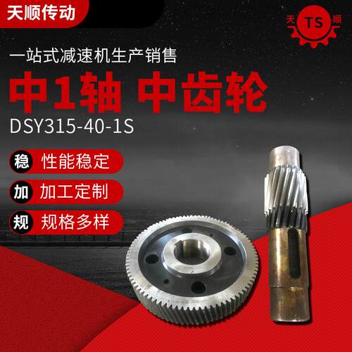 泰兴减速机配件中1轴中齿轮DSY15-40-1S减速机配件