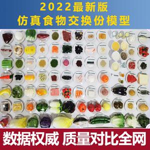 营养指导模型食物交换份彷真食品中国居民平衡膳食宝塔模型通用版