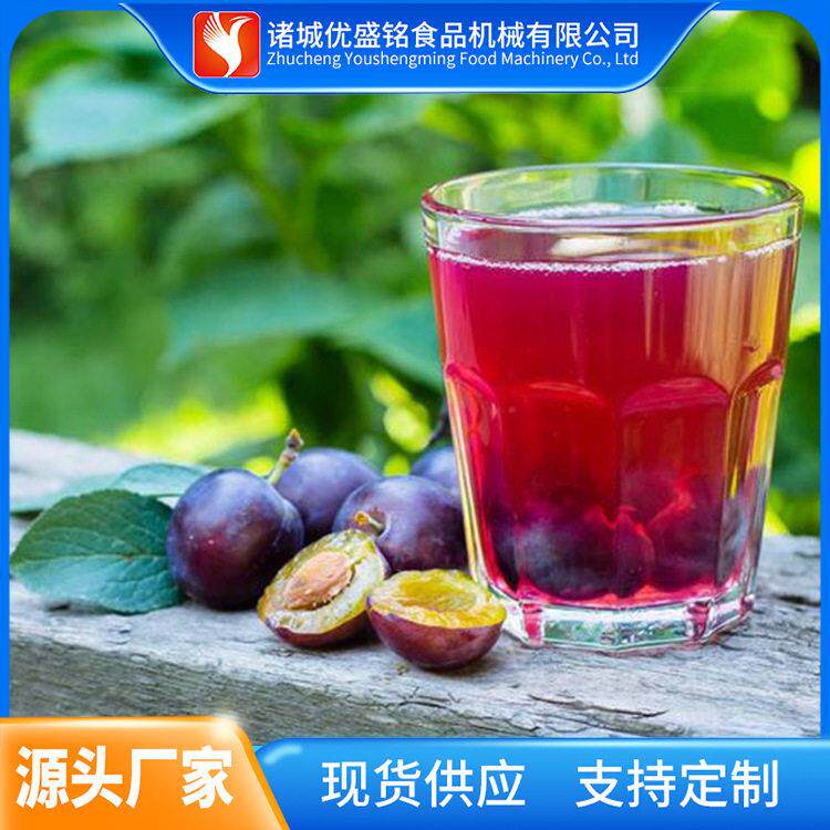 大型西梅汁调配生产线 百香果饮料加工设备 西瓜汁制作机器