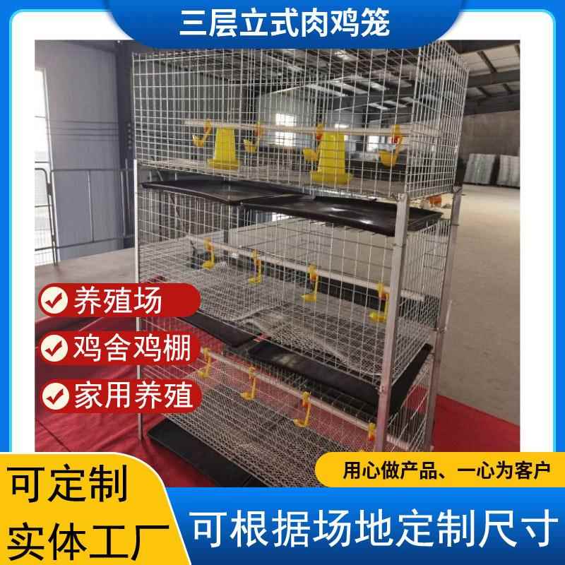立式肉鸡笼实体鸡笼厂家小鸡笼养殖场/鸡舍家用鸡笼子