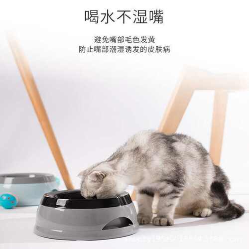 亚马逊宠物猫狗外出旅行慢食碗