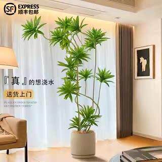 百合竹彷真绿色植物盆栽大型室内装饰花客厅摆件落地树高级彷生假