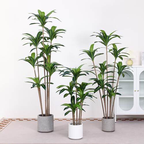 新款仿真绿植巴西木假盆栽室内大型仿生绿植摆件客厅仿真植物装饰