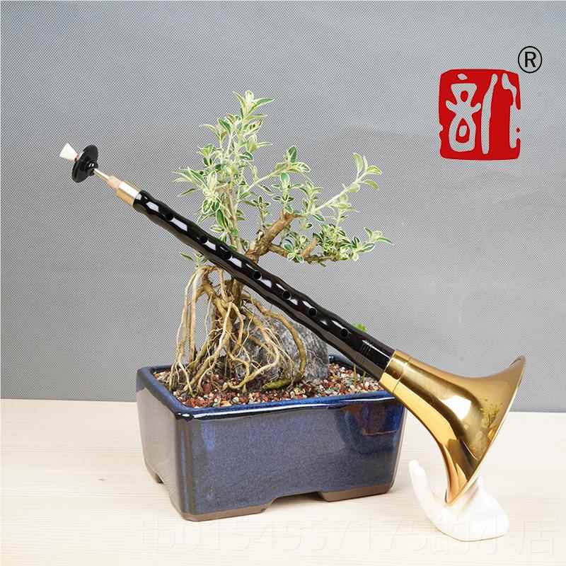 正品八音唢初学者专业乐器全调套乌木黑檀D叭降B红木喇呐吹服务紫