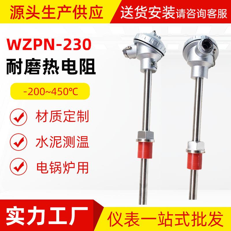 耐磨热电阻WZPN-230温度传感器硫化水泥电锅炉用pt100防腐测温棒