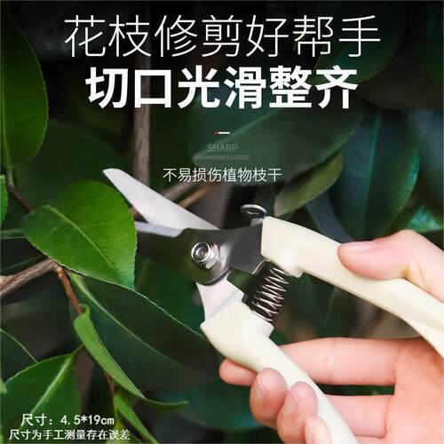 园艺园林果树剪刀园艺用品套装