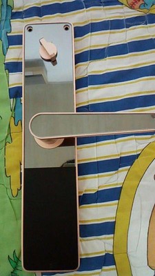 追踪真相基信锁芯DZS001-02指纹锁怎么样，用后一年口碑反馈！