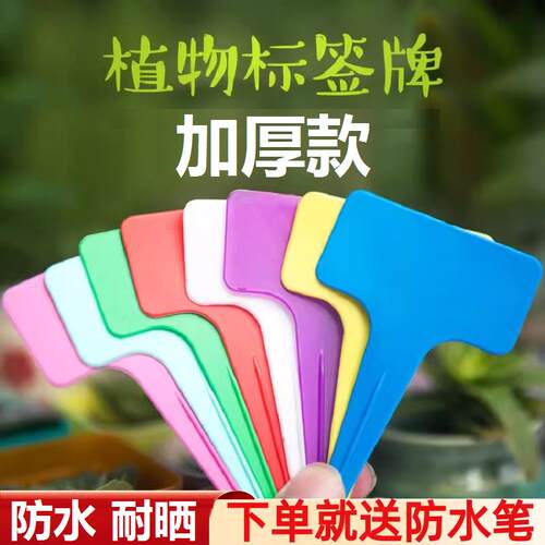 加厚插签记号牌T型彩色花卉牌园艺标签PP塑料标示牌多肉植物插牌