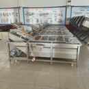 全自动果蔬气泡清洗机韭菜豆角洗果洗菜机草莓辣椒清洗风干流水线