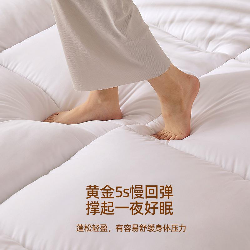 冬天加厚床T6垫人软垫家用室褥子床垫租房专用学生宿舍褥单加卧厚
