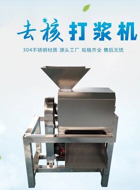 商用不锈钢道去皮打浆机枇杷自动去核机油桃芒果红枣脱核机