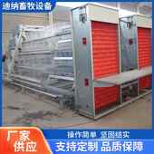 蛋鸡层捡动蛋机层叠鸡笼设备全自捡FMG捡蛋自动化养鸡鸡舍自动多