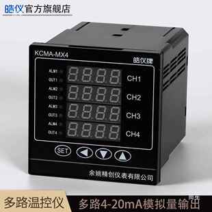 精两路温差6路PD温控仪出多路4-GGH20mA变送I输配记录创仪RS485