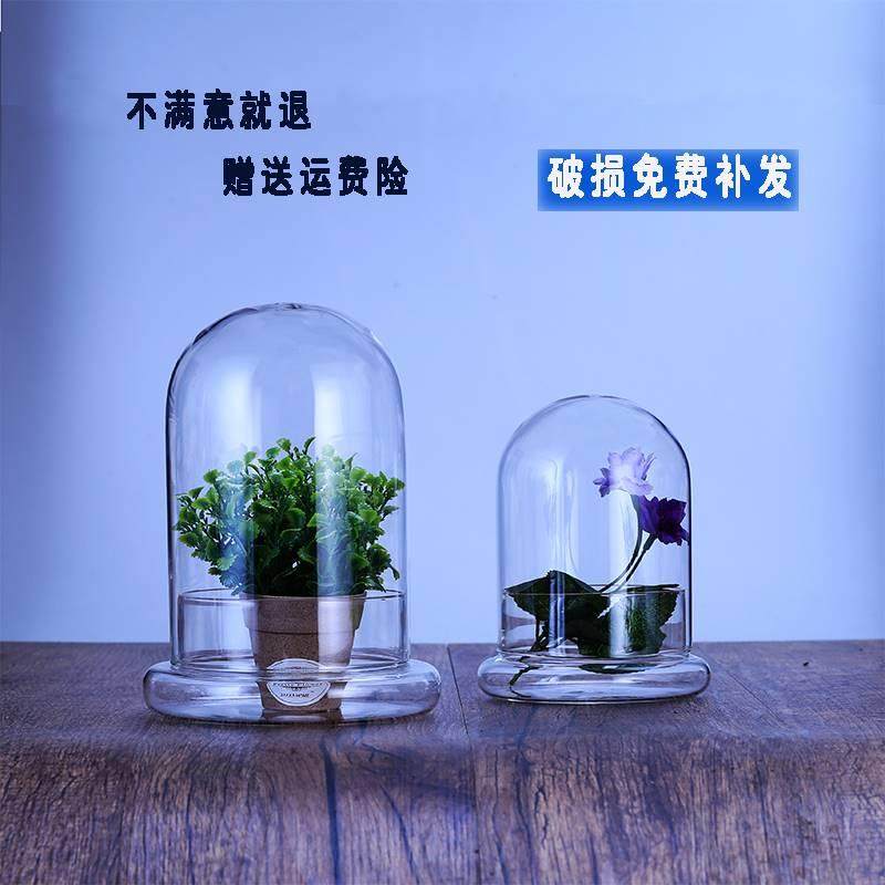 闷养神器多肉玉露闷养盆罩玻璃微景观玻璃容器展示罩生态瓶空瓶