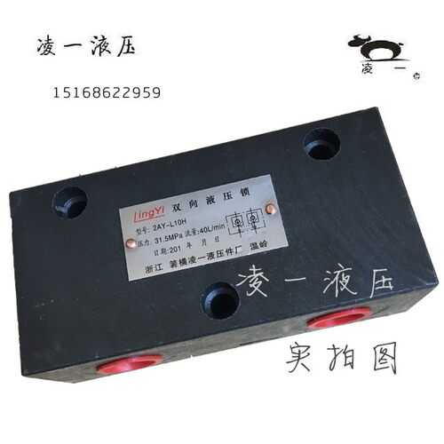 供应船用液压舵机专用 2AY-L10H SO2-L20H双向液压锁
