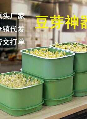 发家育苗种植发芽豆芽豆芽花瓶