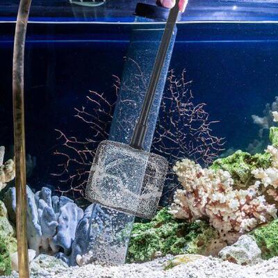 1 set Fish Tank Cleaning Brush Set High Density Durable