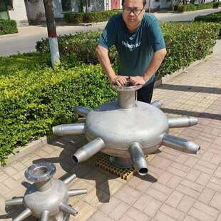 450 80不锈钢304尺寸500 蝶式 射流曝气器蓝宝型号ds100