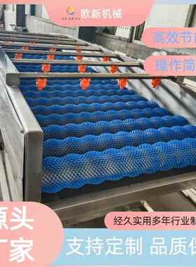 全自动平行毛辊清洗机根茎类果蔬清洗机海蛎子去泥毛刷清洗设备