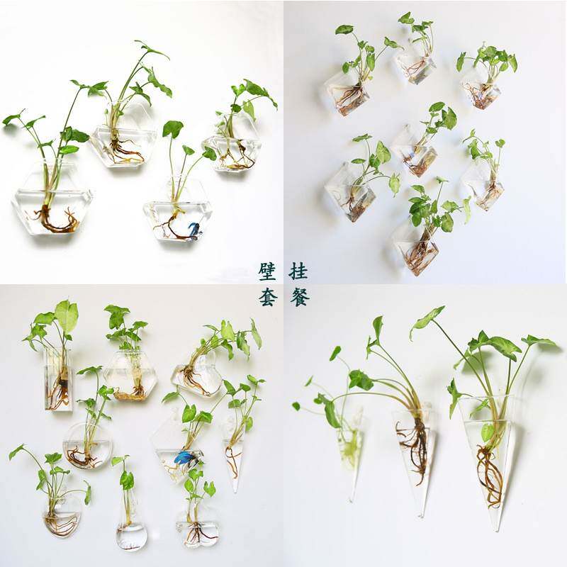 悬挂式墙壁创意壁挂花 多用途透明玻璃水培花 花盆 家居饰品