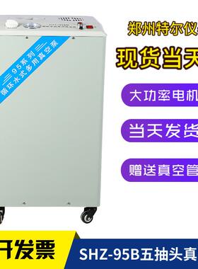 SZ-95B-H95大型五抽循环水头式真空泵抽295滤过滤循环水真A空泵