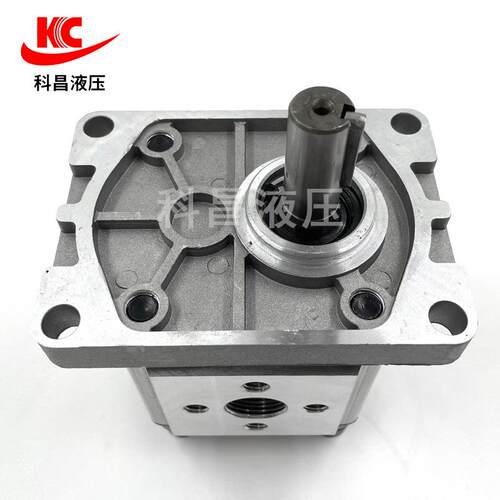 科昌CBN齿轮泵-E/F304 306 308 310 312 314 316 320 325厂家直供