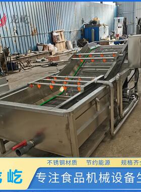 型号齐全秋葵泡清洗机自气动化芸豆水果NZP清洗设作果蔬备制线