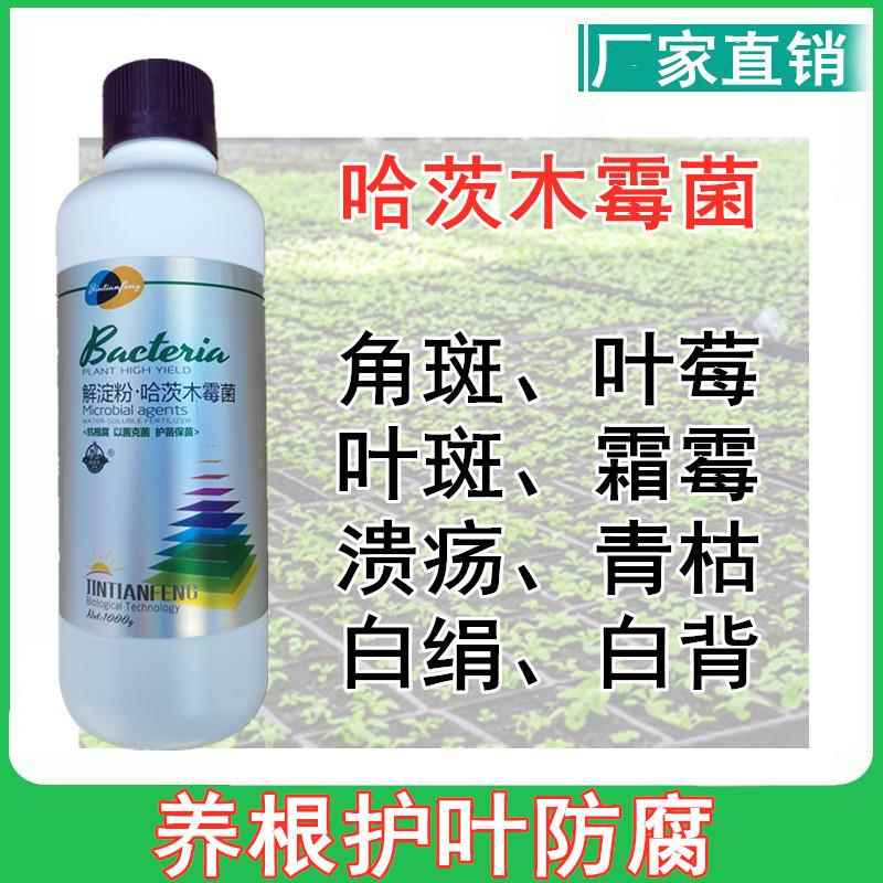 哈茨木霉微生物菌剂生根防根腐菌肥根腐康哈次木霉菌枯草芽孢杆菌
