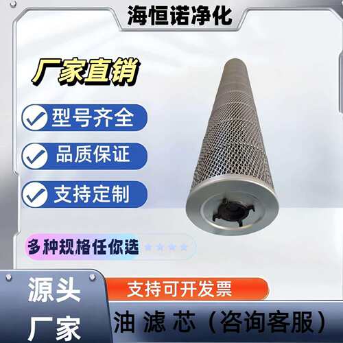 高压反冲洗过滤器滤芯FCGZ2000/31.5x250104郑煤机滤芯