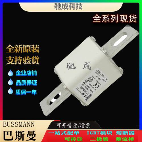 巴斯曼170M4668 170M4669 170M4670 经销销售价优 快速熔断器