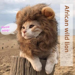 猫狮子头饰宠物小猫狗有趣的衣服泰迪比熊柯基波美拉尼亚头饰头发
