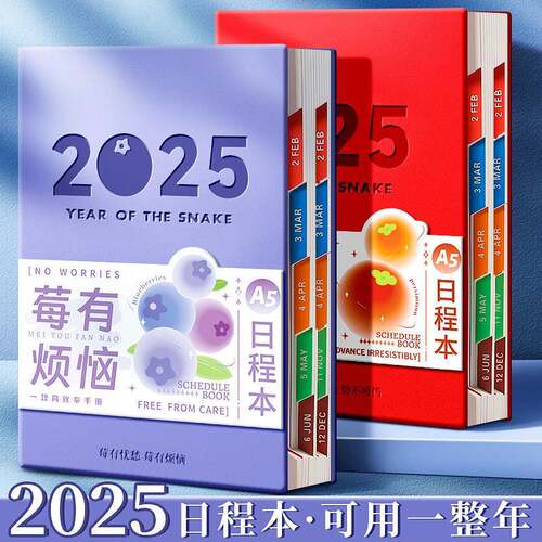 2025年日程本计画表新款效率手册每日计画本todolist时间管理手账