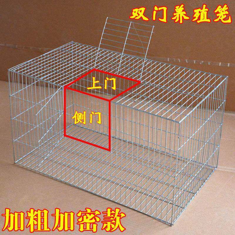 装蛇铁丝笼蛇箱不锈钢装蛇的笼子铁笼养蛇箱鸡笼兔子笼老鼠笼