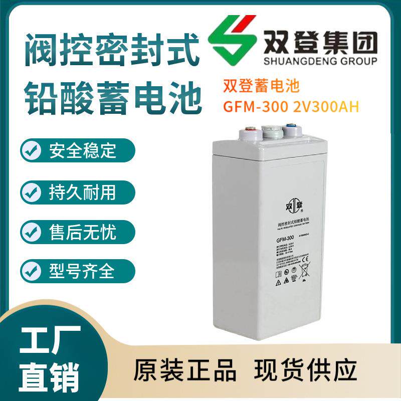 双登蓄电池GFM-3002V300AH开关控制参数规格参数供应三年