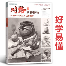 对路素描静物单体组合结构照片画临摹范本基础写生入门考级高考联考教学国美素材几何体蔡兼美术绘画画册本初级书籍教程中考教材书