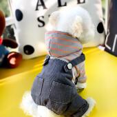 泰迪比熊博美四脚棉衣背带裤 小狗狗加厚保暖装 休闲款 爱萌新款