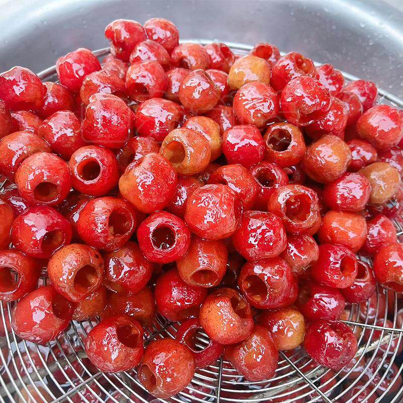 新品真空浸糖锅果脯蜜饯负压浸糖设备山楂杏脯真空浸渍机器