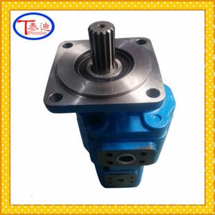 CBGj2125 1016液压泵 1020双联齿轮泵CBGj2125