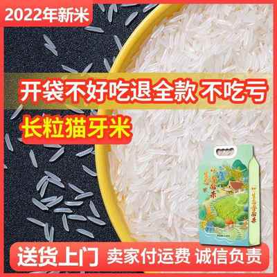 大米5猫牙米长粒香长新米1斤新米斤小袋香米煲仔饭粥现货